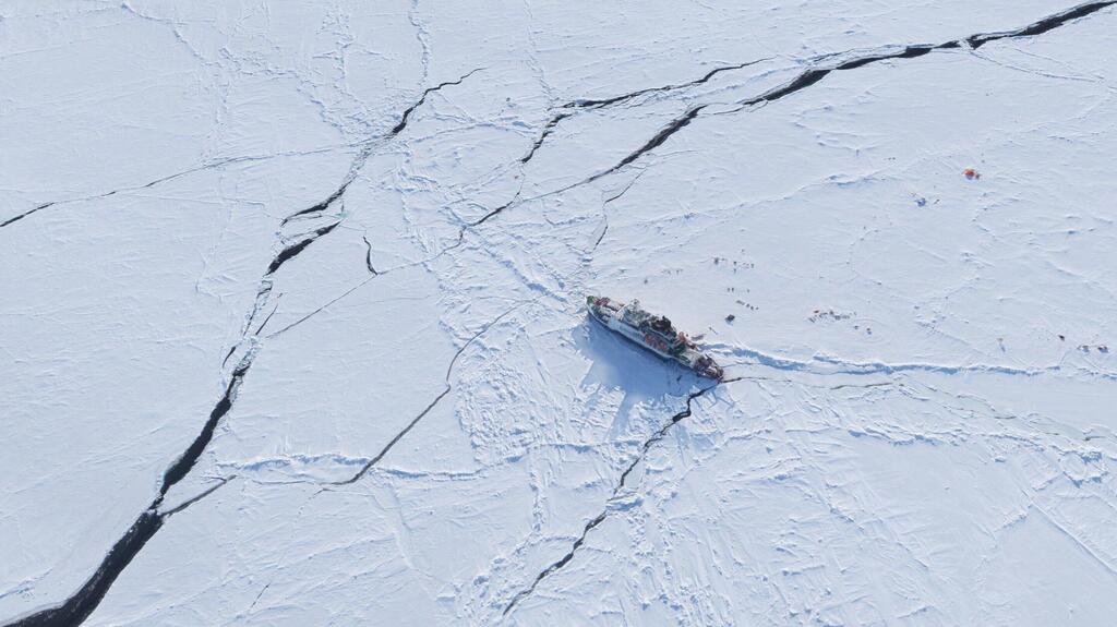 ספינה שטה באזור הארקטי