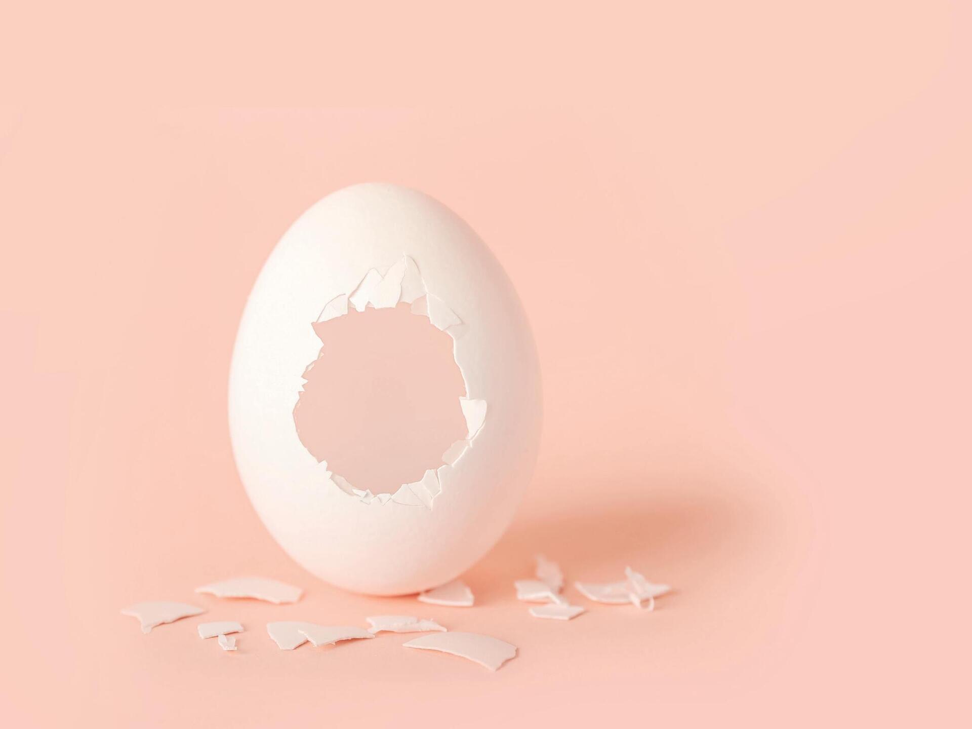 חצי קליפת ביצה יכולה לספק את קצובת הסידן היומית