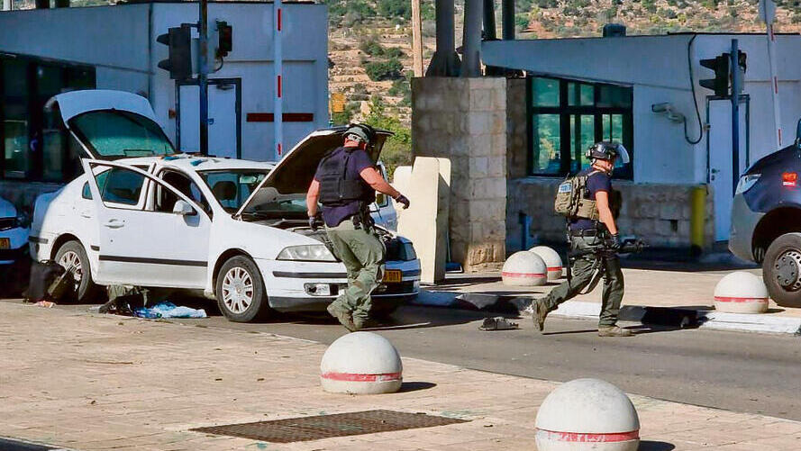 צילום: אביגיל עוזי yk13680059