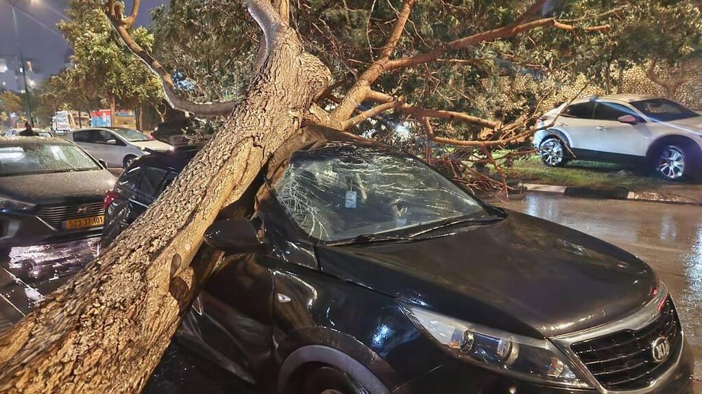 עץ קרס בנתניה על רכב