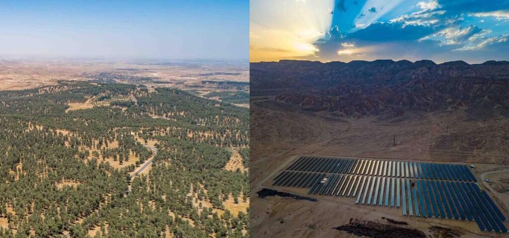 מימין: השדה הסולארי בערבה שבו התבצעו המדידות. משמאל: יער יתיר בנגב הצפוני – הגדול ביערות הנטועים של קק"ל