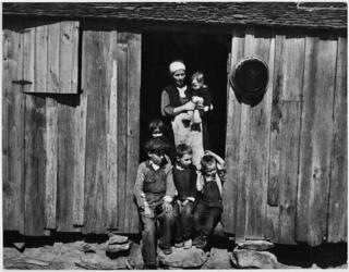 פרוזה אמריקאית קלאסית. משפחה דרומית באלבמה, 1937 