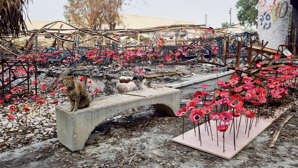 צילום: שי כרמי yk13712097