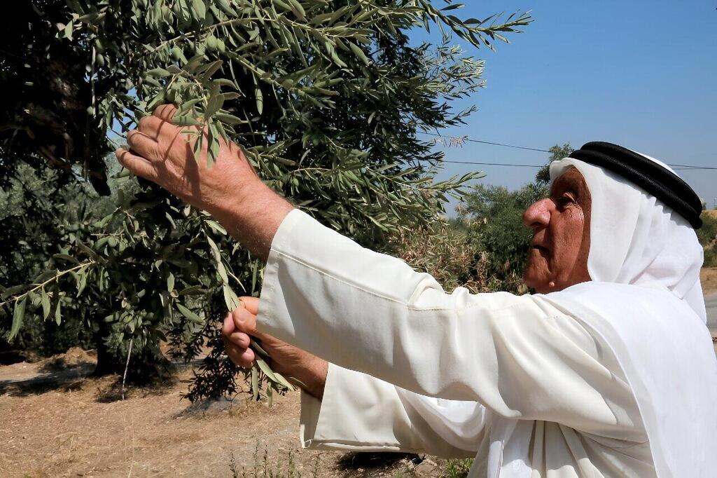החקלאי הירדני עלי סאלח עטא (צילום: AFP) החקלאי הירדני עלי סאלח עטא