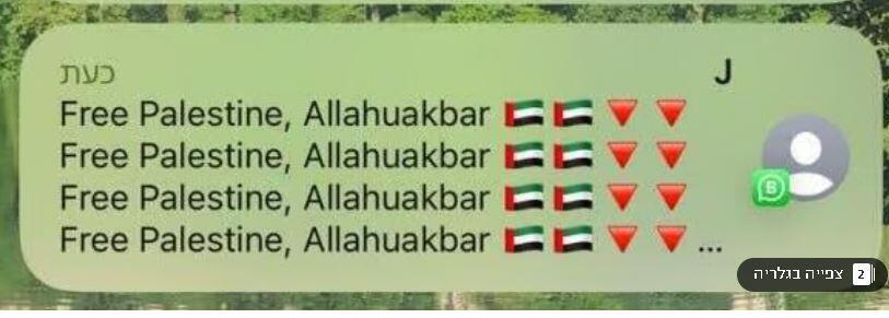 Bots flood Israeli official's phone with pro-Palestinian messages Bots call for Free Palestine