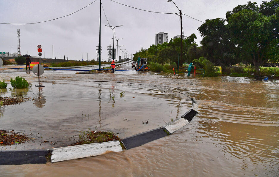 צילום: פאול אורלייב yk13729222