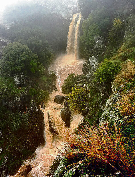 צילום: אפי שריר yk13729224