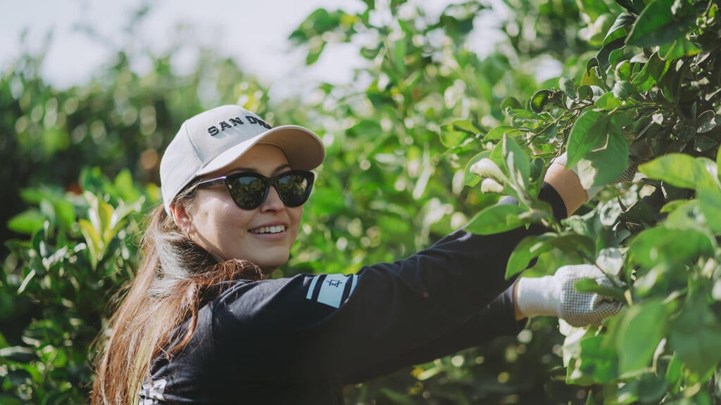 Volunteers help farmers in Israel's south (Photo: Courtesy of JNF-USA) Volunteers help farmers in Israel's south