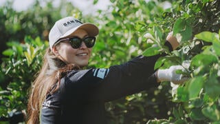 Volunteers help farmers in Israel's south 