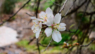 צילומים: איתמר כץ yk13737390