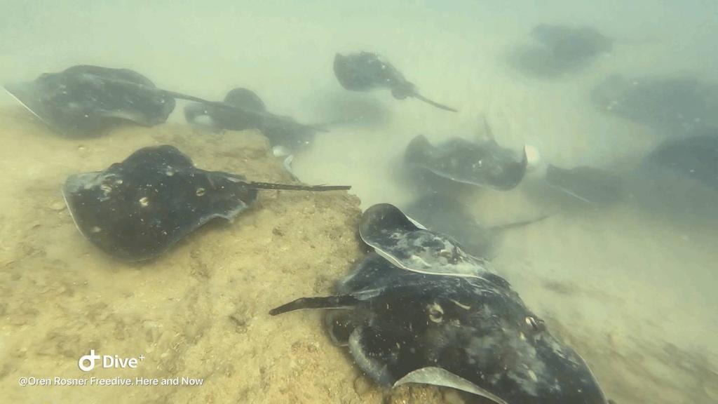 צילום: אורן רוזנר