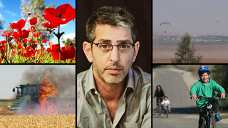 רועי עידן