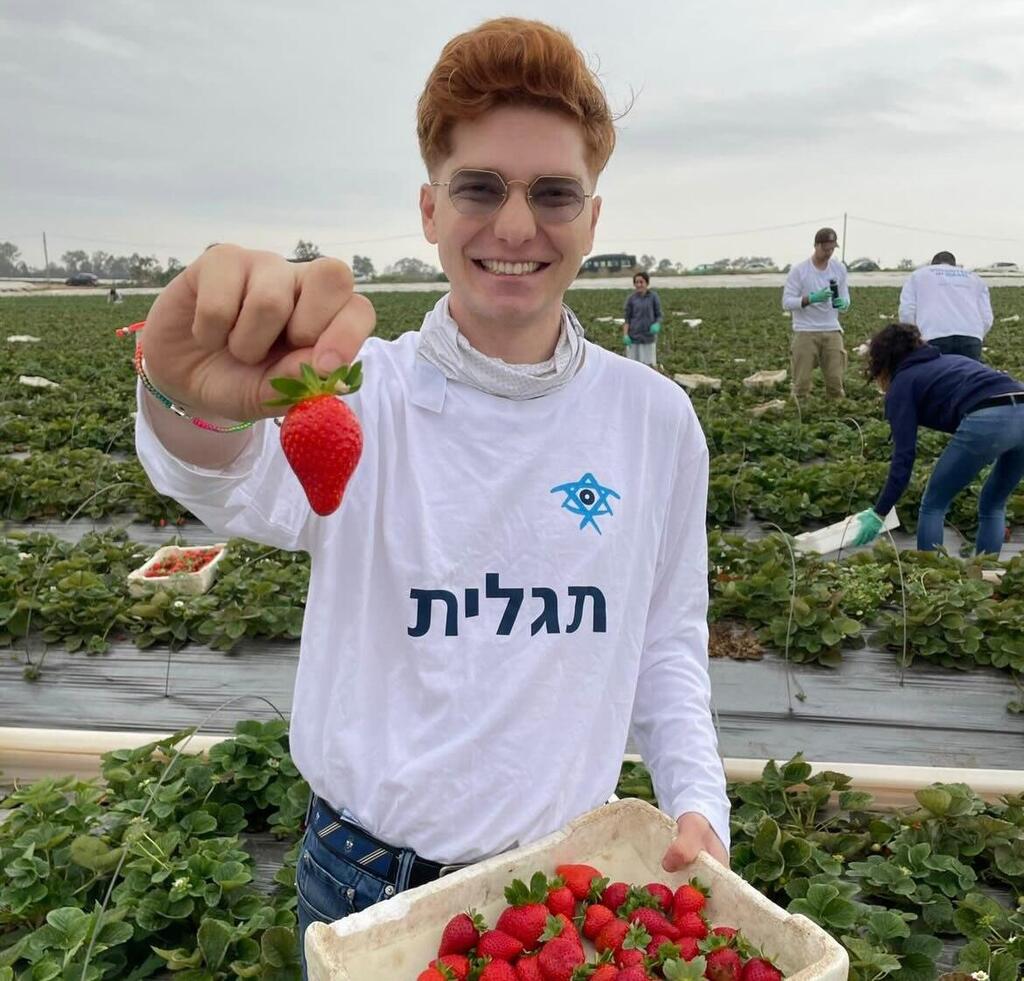 מקס פיין, מתנדב "תגלית: "מישהו צריך לקטוף תותים בזמן שאחרים נלחמים" (צילום: באדיבות "תגלית" ) מתנדבי תגלית בחקלאות