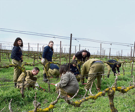 צילום: אפי שריר yk13763898