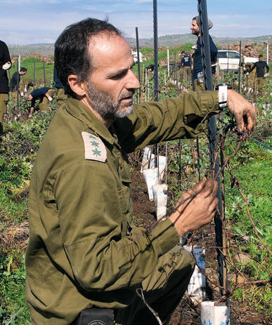 צילום: אפי שריר yk13763922