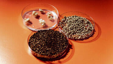 yk13770970