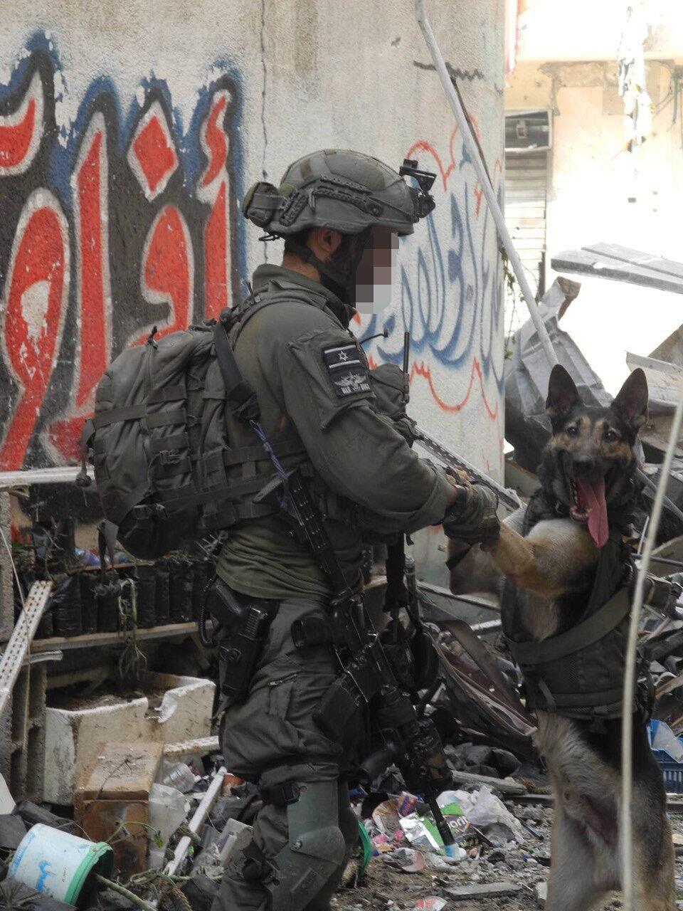 Ziggy was sent to scan the building for terrorists and never came back (Photo: Family album) סמ"ר נ' הכלב זיגי מיחידת עוקץ הציל את הכוח ומת מירי מחבלים בעזה