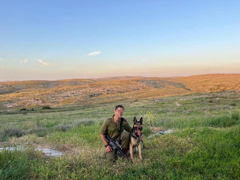 'My heroic and beloved dog Ziggy, saved my life' (Photo: Family album) סמ"ר נ' הכלב זיגי מיחידת עוקץ הציל את הכוח ומת מירי מחבלים בעזה