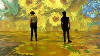 התערוכה THE STORY OF VAN GOGH