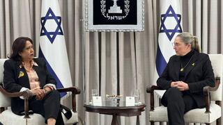 נשיא המדינה יצחק הרצוג בפגישה עם השליחה המיוחדת של האו"ם לענייני אלימות מינית