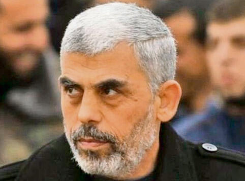 סינוואר yk13787128