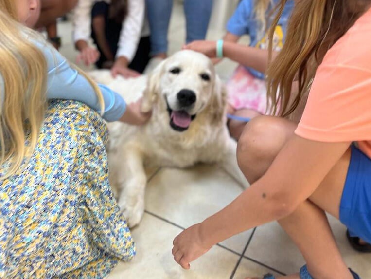 אמצעי להסרת מחסומים והפחתת תחושות דיכאון וחרדה. כלבנות טיפולית בלאומית שירותי בריאות (צילום: לאומית שירותי בריאות) כלבנות טיפולית לאומית שירותי בריאות