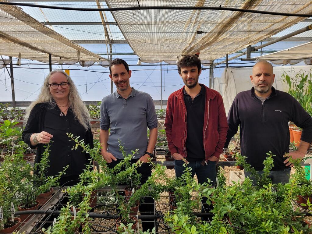 מימין לשמאל סלע יחזקאל, אוהד רוט, ד"ר רועי ויינשטיין וד"ר עינת שדות (צילום: מכון וולקני) מימין לשמאל סלע יחזקאל, אוהד רוט, רועי ויינשטיין, עינת שדות