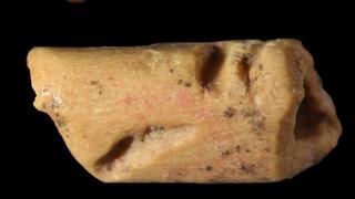 החרוז העתיק, שצורתו צינורית, אשר תוארך כבן 12,940 שנים. החרוז התגלה באתר La Prele Mammoth שבוויומינג והוכן מעצם של ארנבת