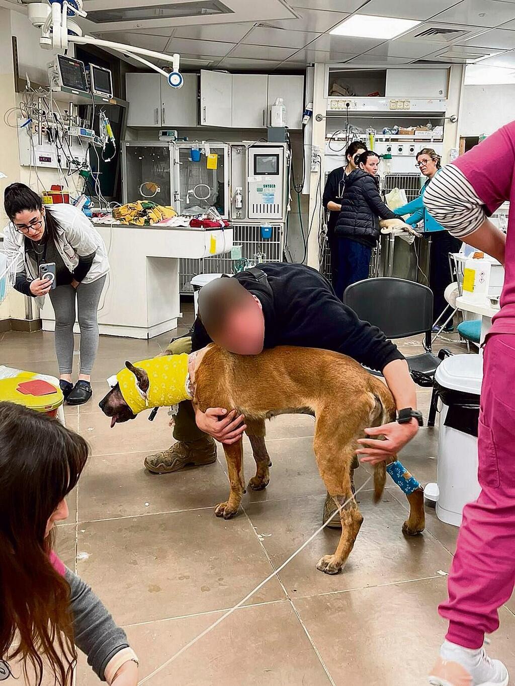 Limbo in recovery (Photo: IDF Spokesperson's Unit) לימבו מחלים מפציעתו