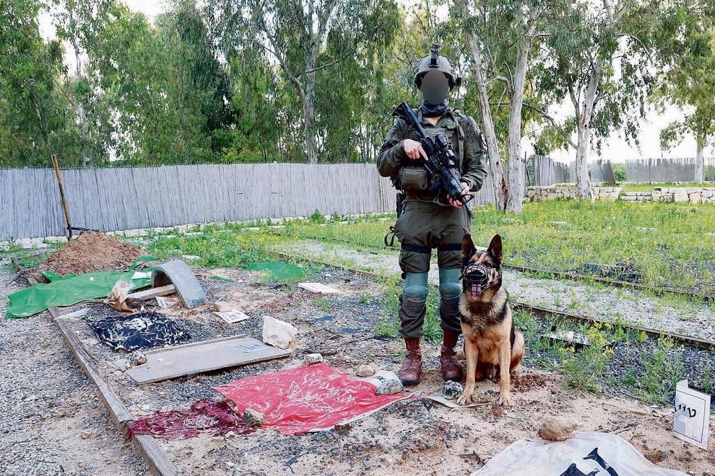 Honoring the IDF's fallen four-legged heroes