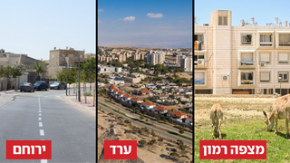 יעלים במצפה רמון / ערד / ירוחם