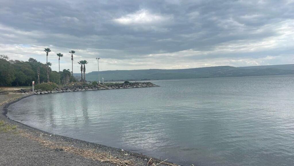 חוף אמנון בכינרת (צילום: קשת לן איגוד ערים כינרת) חוף אמנון בכינרת