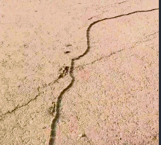 צילום: יום טוב אהרוני yk13867323