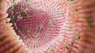Groundbreaking study links gut microbiome to autism