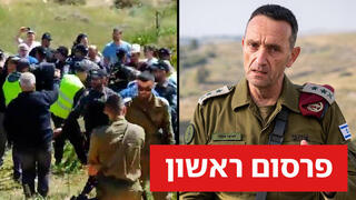 הרצי הלוי