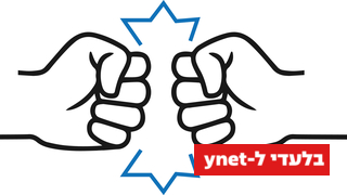 כך נראית מלחמה ברשת