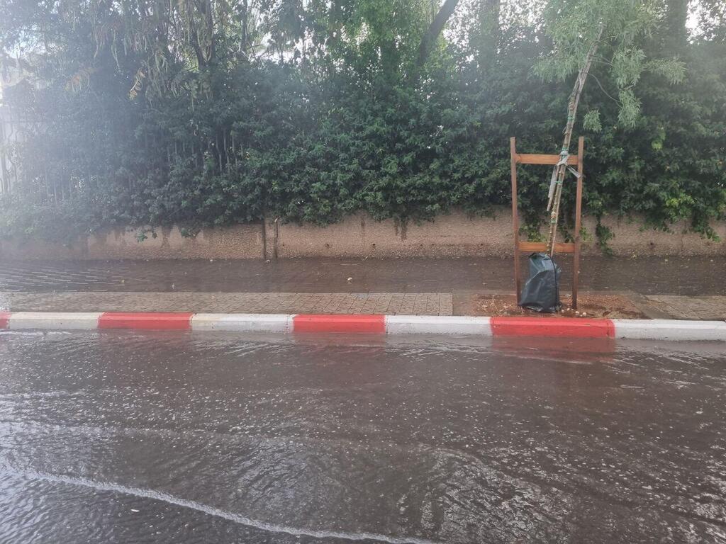 הבוקר בתל אביב (צילום: רן רימון) גשם בתל אביב