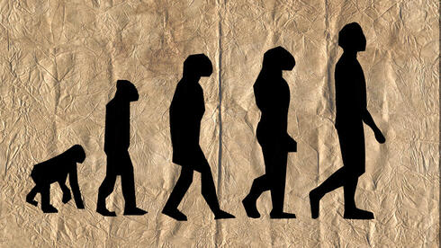 Before hitting Europe, Homo sapiens stopped in Iran, genetic research suggests - Vimarsana News