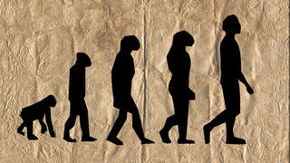 Before hitting Europe, Homo sapiens stopped in Iran, genetic research suggests