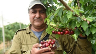יוני יעקובי ממרגליות 