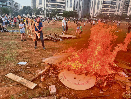 צילום: מאיר תורג'מן yk13936224