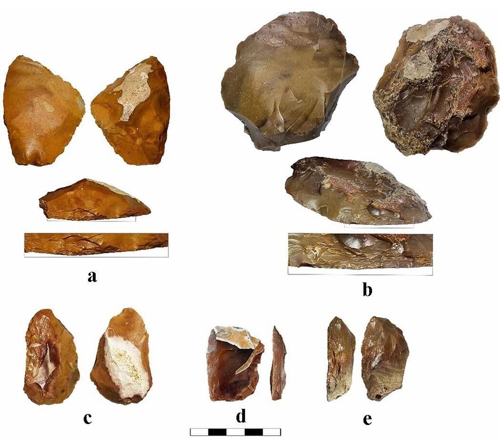 Examples of scrapers shaped by Quina-like retouch from the Late Acheulian Jaljulia 