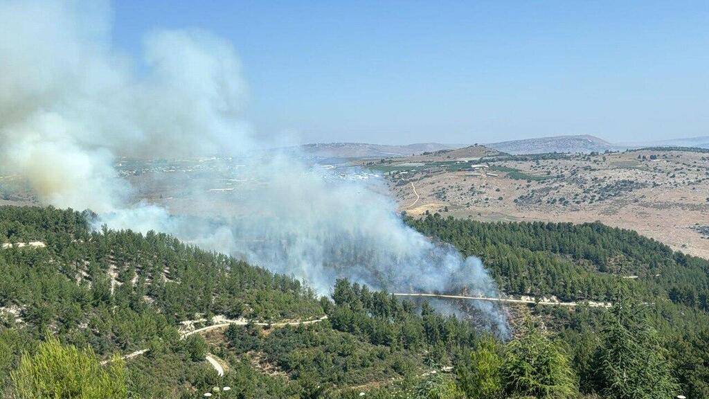 שריפות ביער בירייה