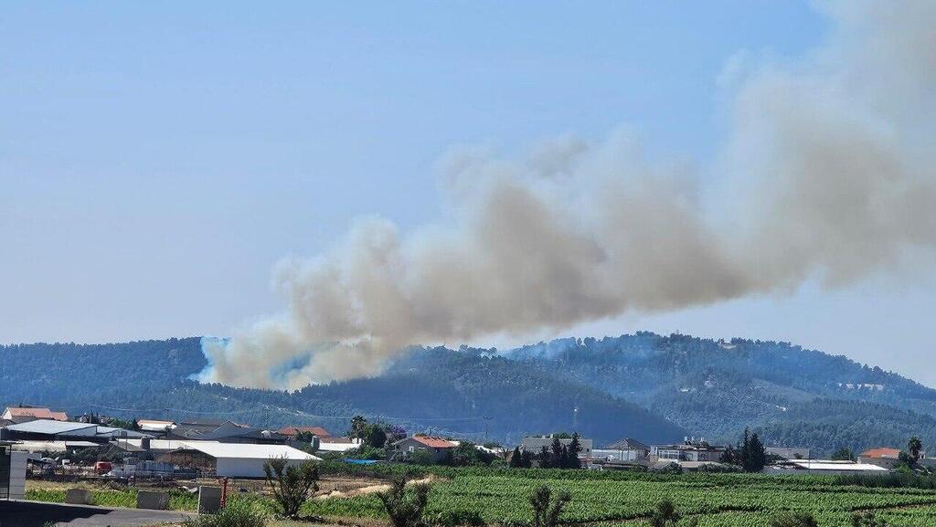 שריפות ביער בירייה