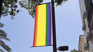 דגלי גאווה ברחבי תל אביב-יפו