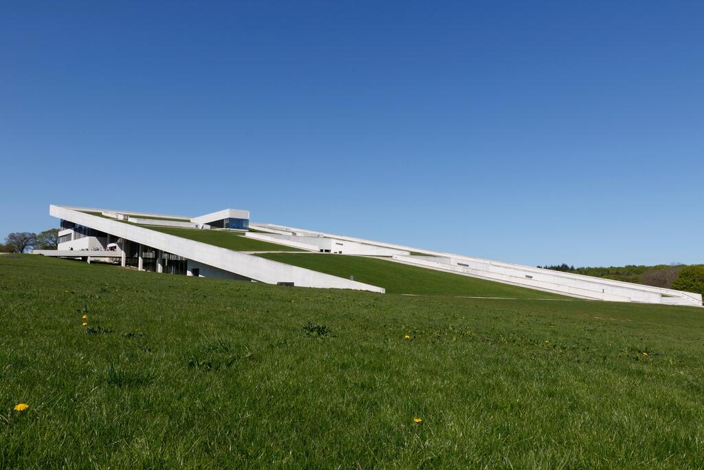 Aarhus, Denmark גגות ירוקים