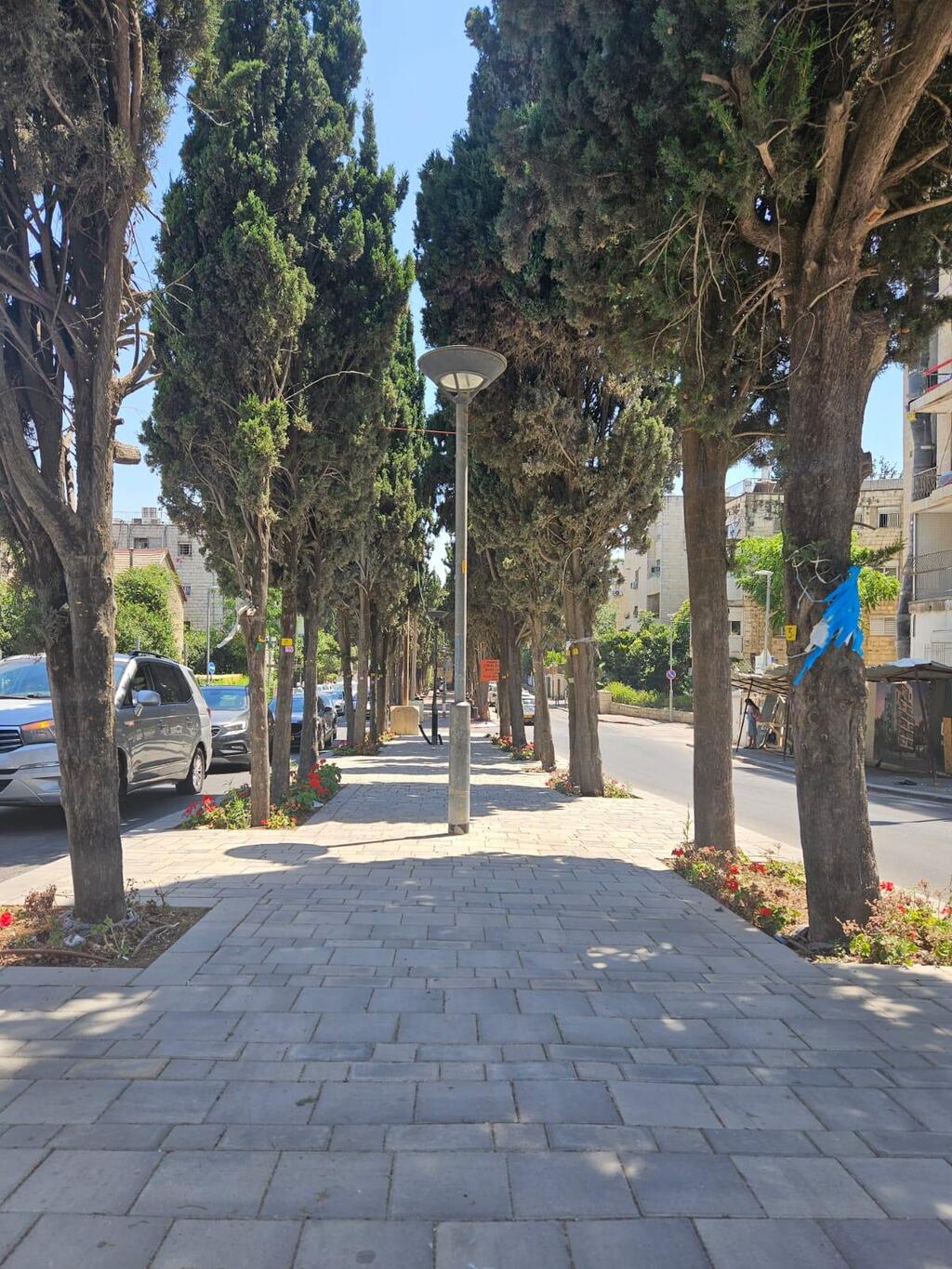 שכונת קריית משה הוקמה בתחילת שנות ה-20 כעיר גנים לציבור הדתי (צילום: שרון דינור, באדיבות עיריית ירושלים) שכונת קריית משה, ירושלים. שימור