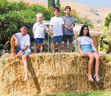 צילום: גיל נחושתן yk13960078