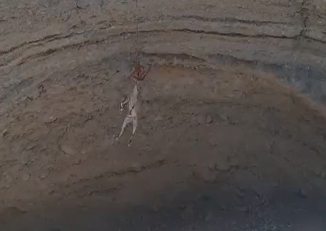 היעל מחולץ באמצעות חבל מהבולען