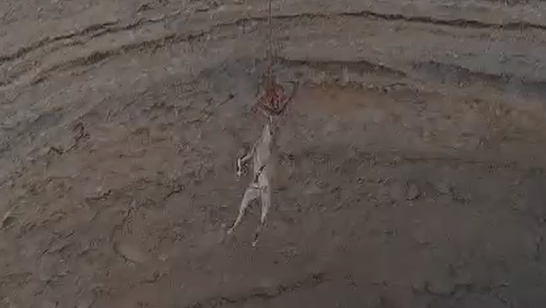 היעל מחולץ באמצעות חבל מהבולען